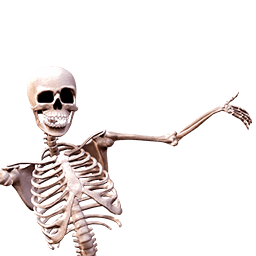 Skeleton 